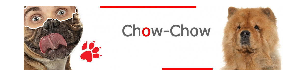 Chow-Chow