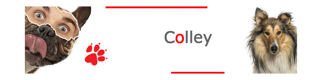 Colley