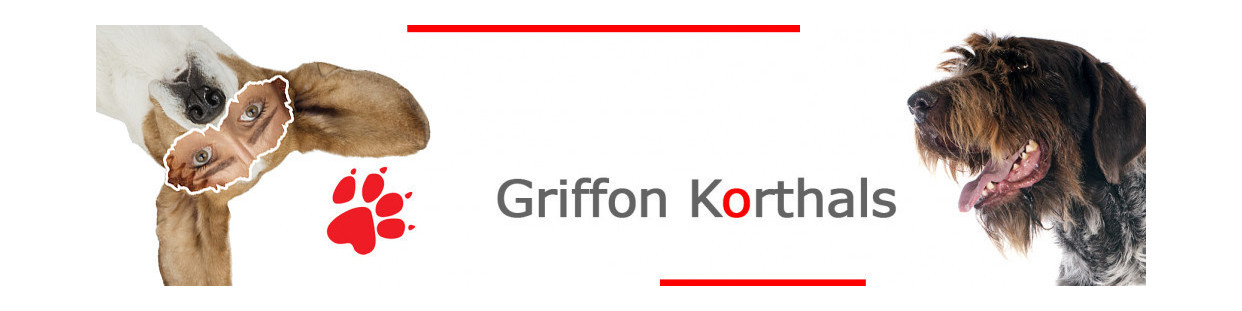 Korthal (Griffon)