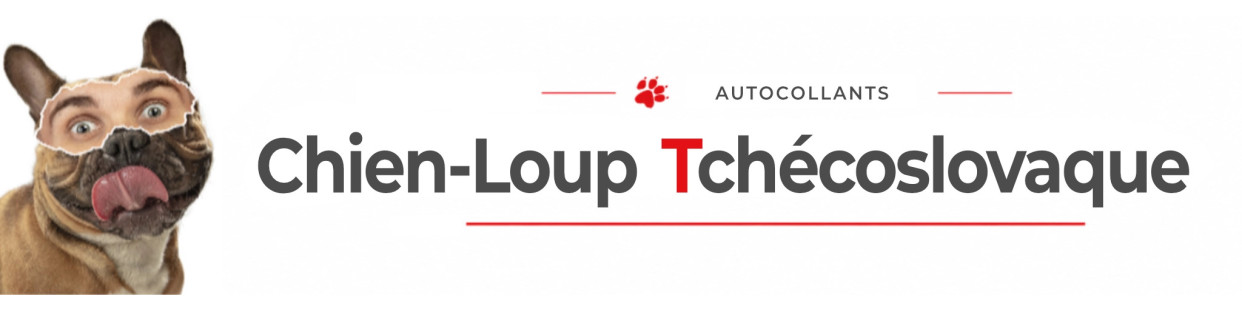 Stickers Chien-Loup Tchécoslovaque | CLT autocollants