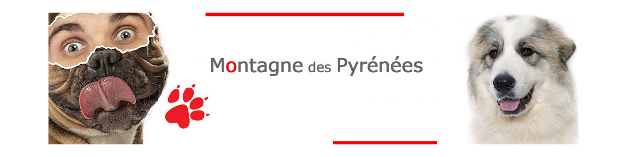 Montagne des Pyrénées