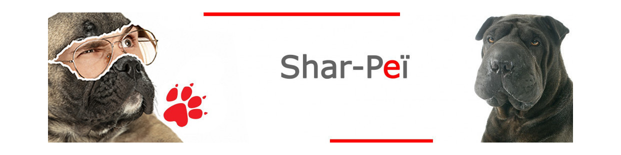 Shar-Peï 
