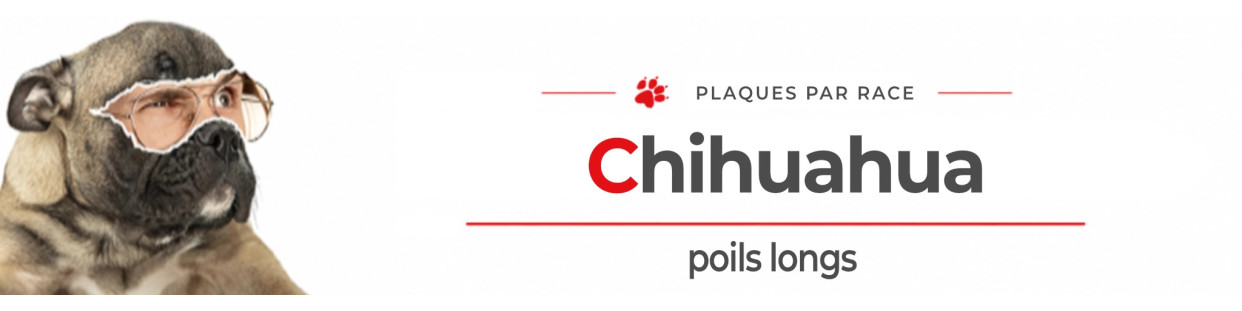 Chihuahua à Poil Long – Plaques, stickers et porte-clés