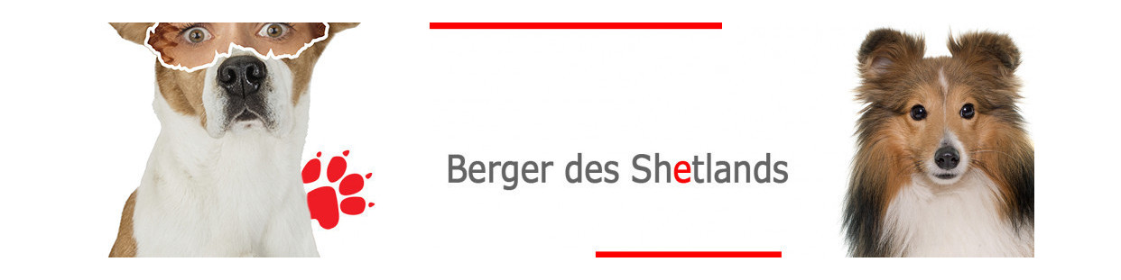 Berger Shetland
