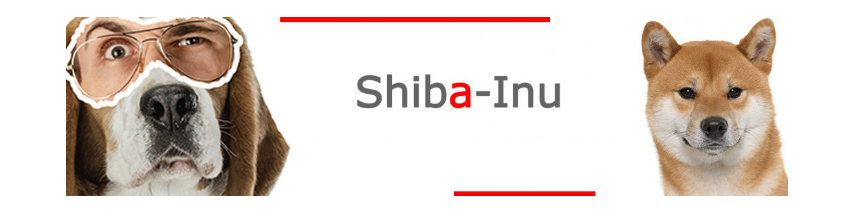 Shiba Inu