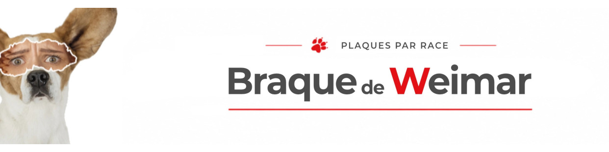 Braque de Weimar – Plaques, stickers et porte-clés
