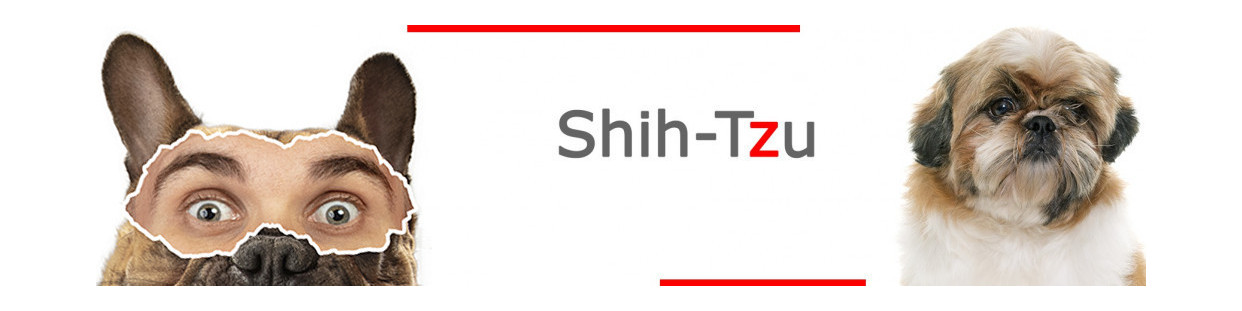 Shih-tzu