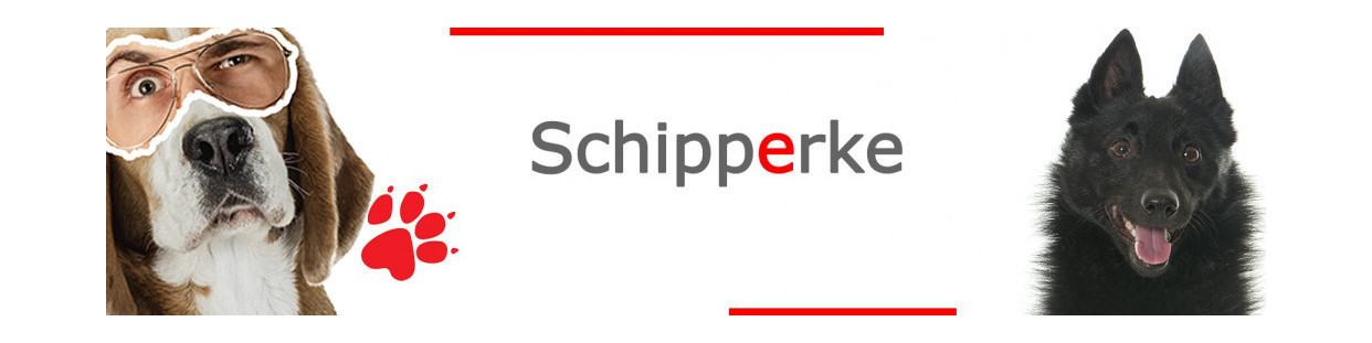 Schipperke