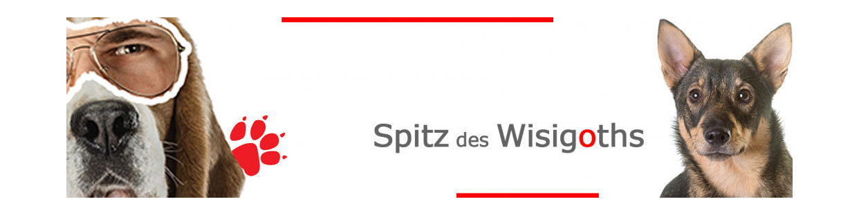 Spitz des Wisigoths