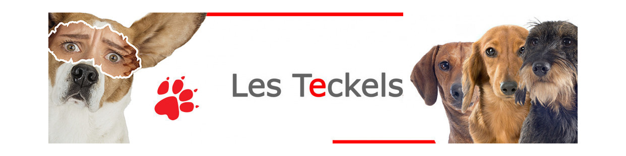 Teckels