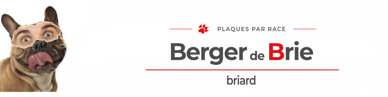 Briard – Plaques, stickers et porte-clés