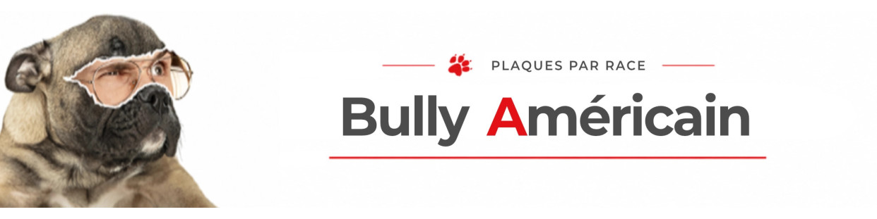 Bully American – Plaques, stickers et porte-clés