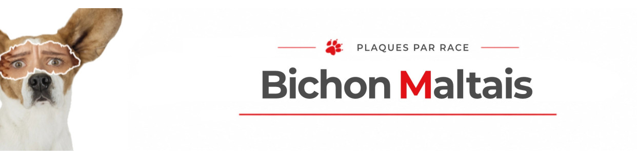 Bichon Maltais – Plaques, stickers et porte-clés