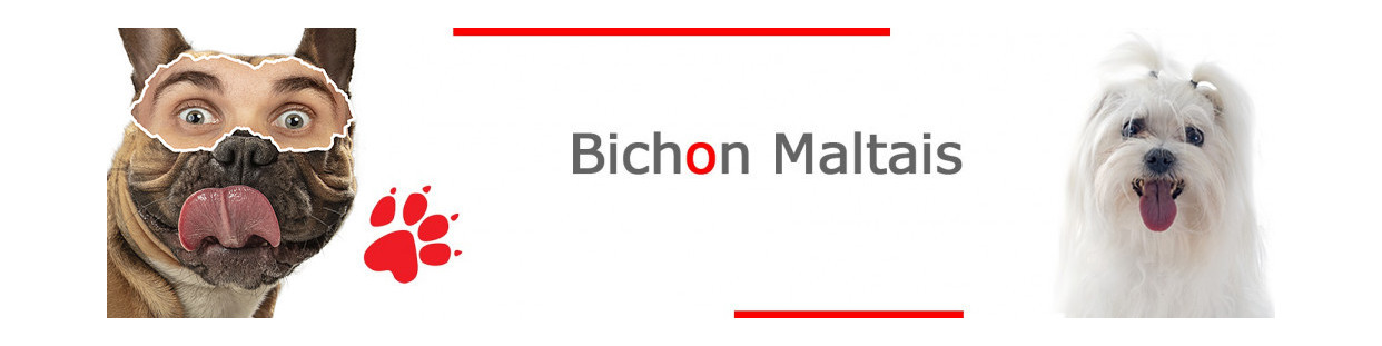 Maltais – Plaques, stickers et porte-clés