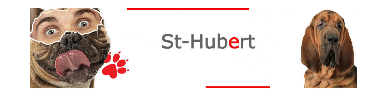 St-Hubert autocollants