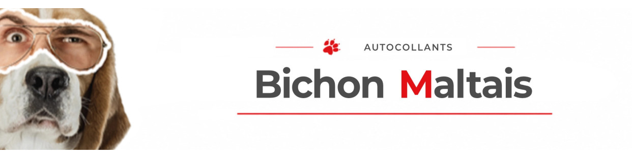 Stickers Bichon Maltais | Autocollants Maltais Chien à Bord