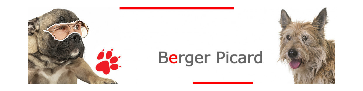 Berger Picard