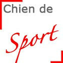 Autocollants Chien de Sport