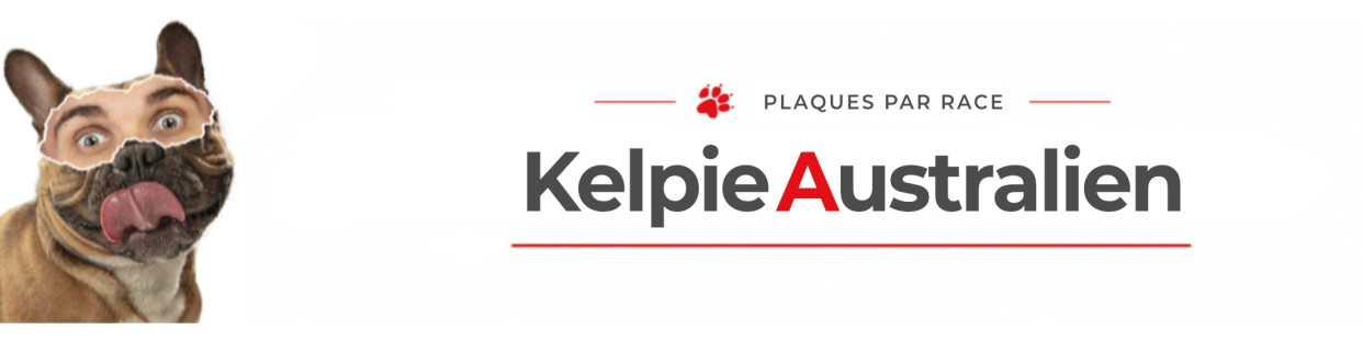 Kelpie Australien – Plaques, stickers et porte-clés