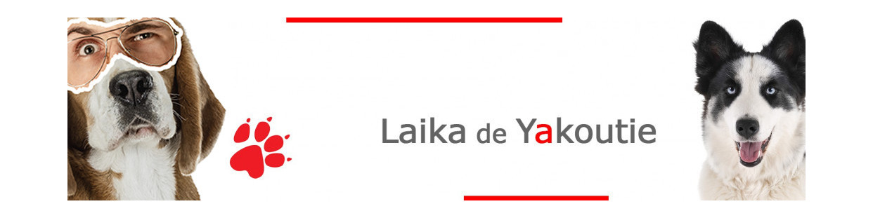 Yakutian Laika – Plaques, stickers et porte-clés
