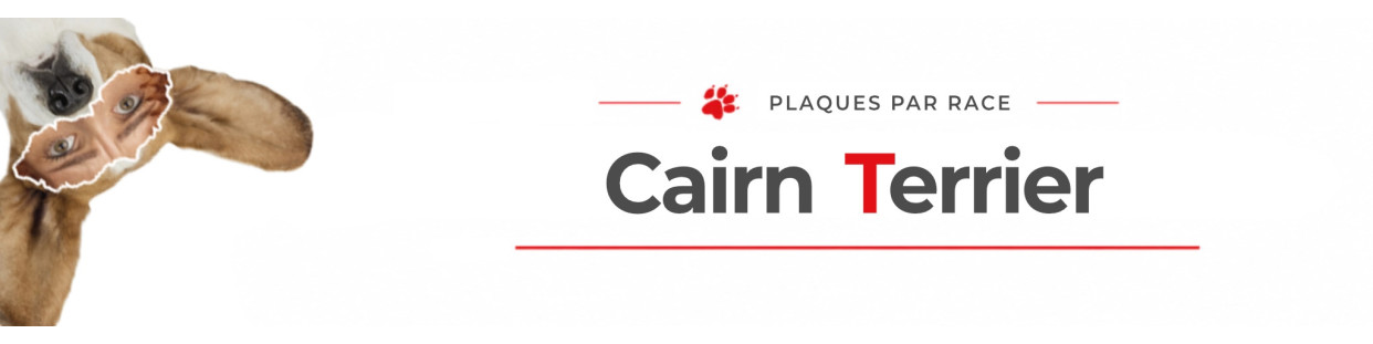 Cairn Terrier – Plaques, stickers et porte-clés