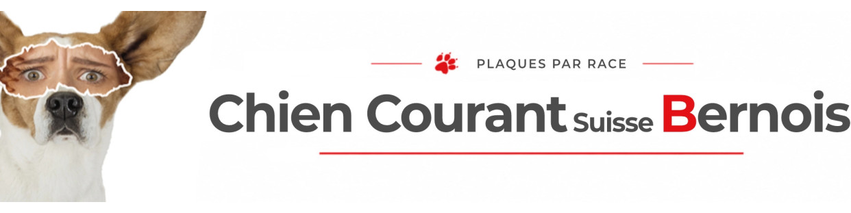 Chien Courant Suisse Bernois – Plaques, stickers et porte-clés