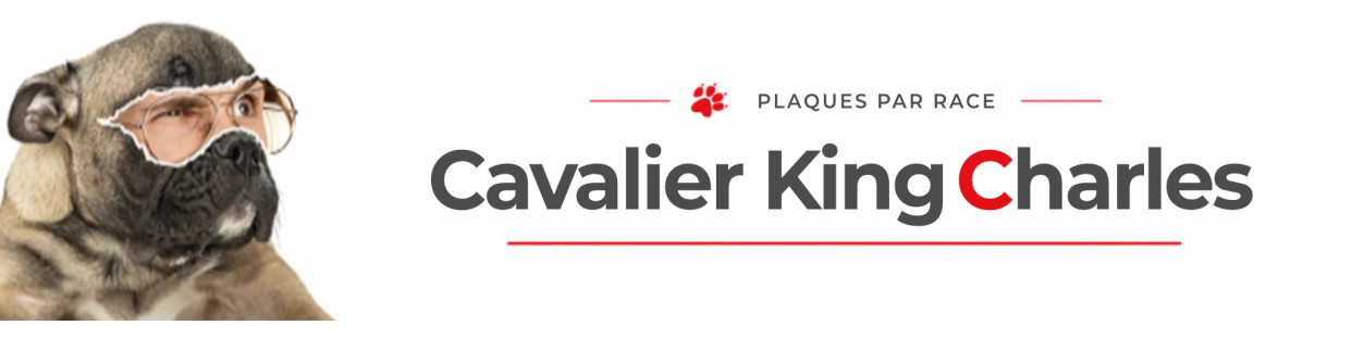 Cavalier King Charles – Plaques, stickers et porte-clés