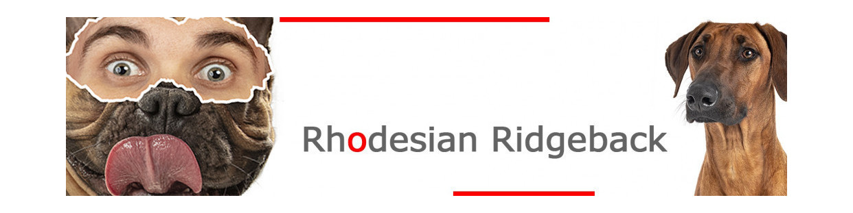 Rhodesian Ridgeback
