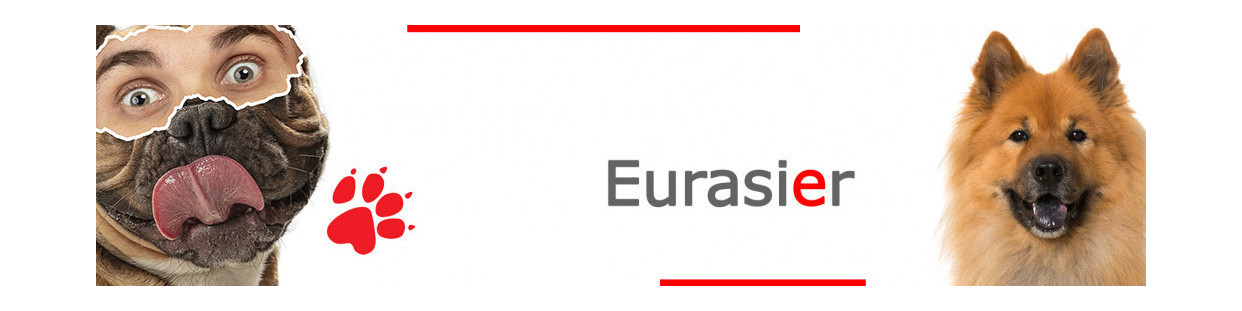 Eurasier