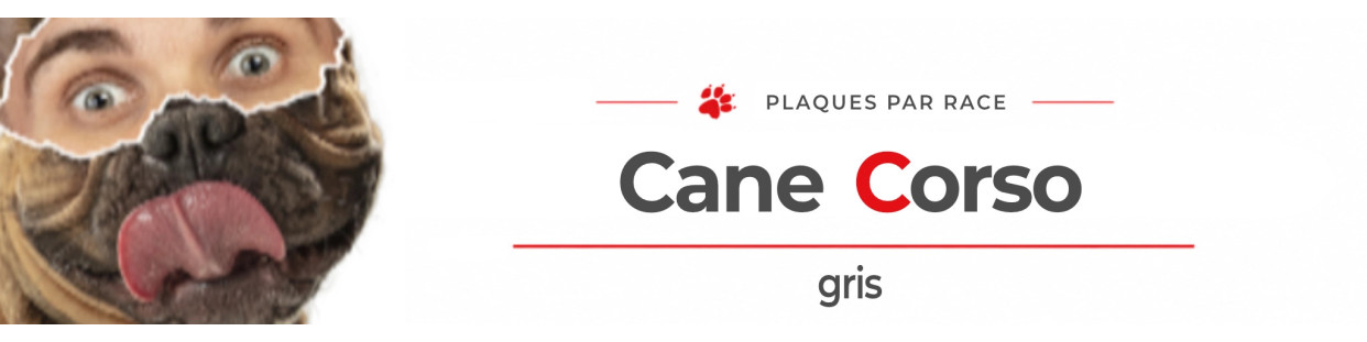 Cane Corso gris – Plaques, stickers et porte-clés