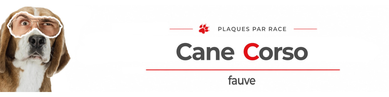 Cane Corso fauve – Plaques, stickers et porte-clés