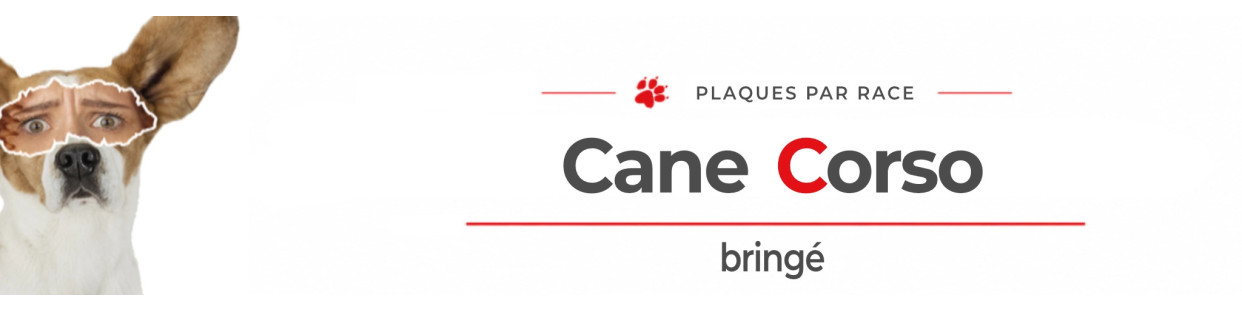 Cane Corso bringé – Plaques, stickers et porte-clés