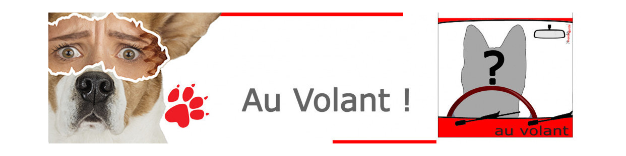 au volant !