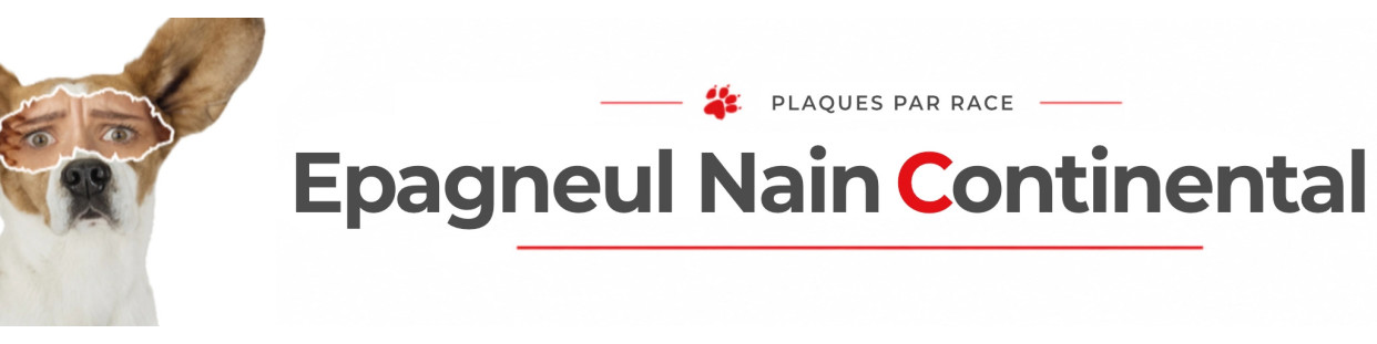 Epagneul Papillon