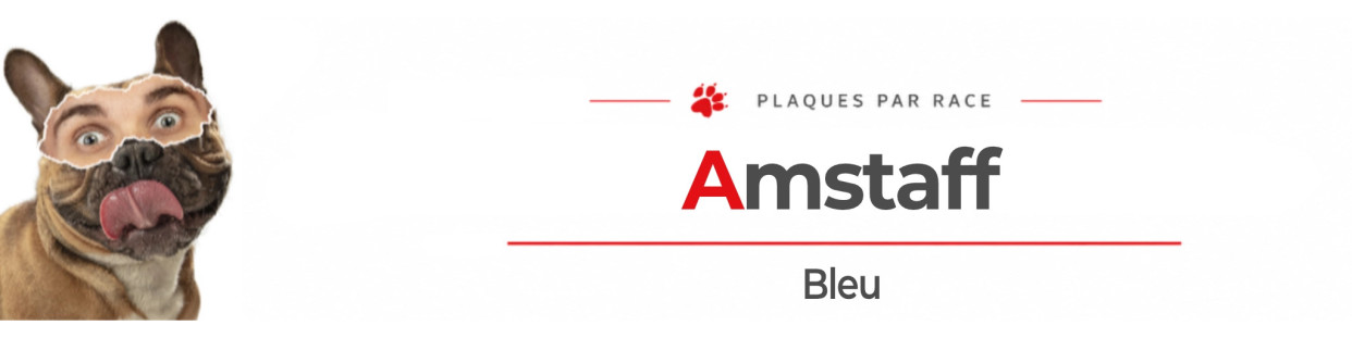 Amstaff Gris Bleu – Plaques, Stickers, Signalétique Chien