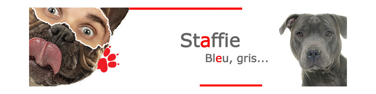 Staffie Bleu – Plaques, stickers et porte-clés