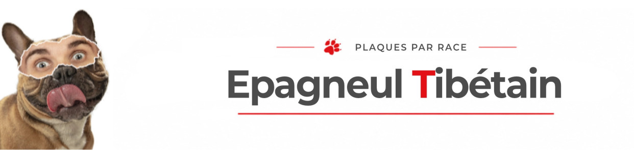 Épagneul Tibétain – Plaques, stickers et porte-clés