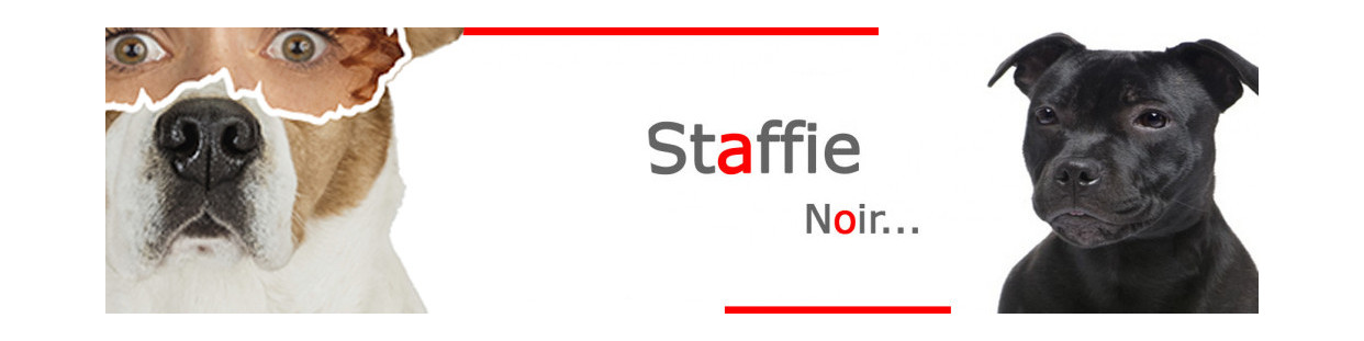 Staffie Noir – Plaques, stickers et porte-clés