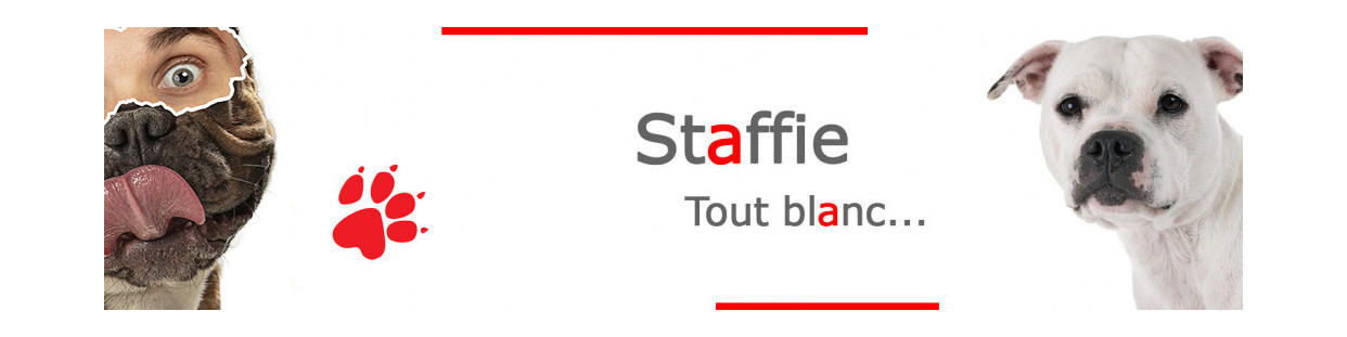 Staffie Blanc – Plaques, stickers et porte-clés