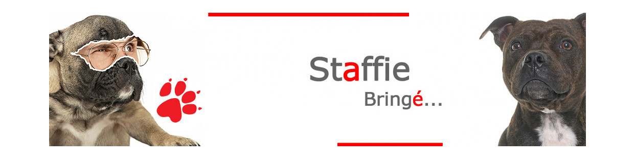 Staffie Bringé – Plaques, stickers et porte-clés