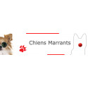 Chien Marrant