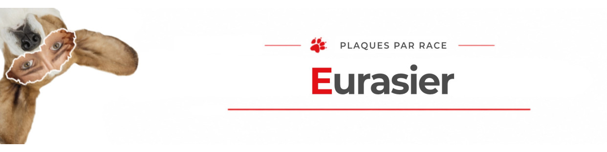 Eurasier – Plaques, stickers et porte-clés