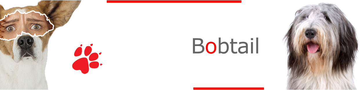 Bobtail