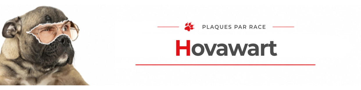 Hovawart – Plaques, stickers et porte-clés