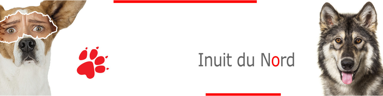 Old Inuit Dog – Plaques, stickers et porte-clés