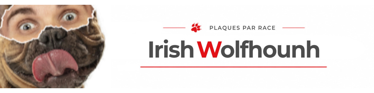 Irish Wolfhound – Plaques, stickers et porte-clés