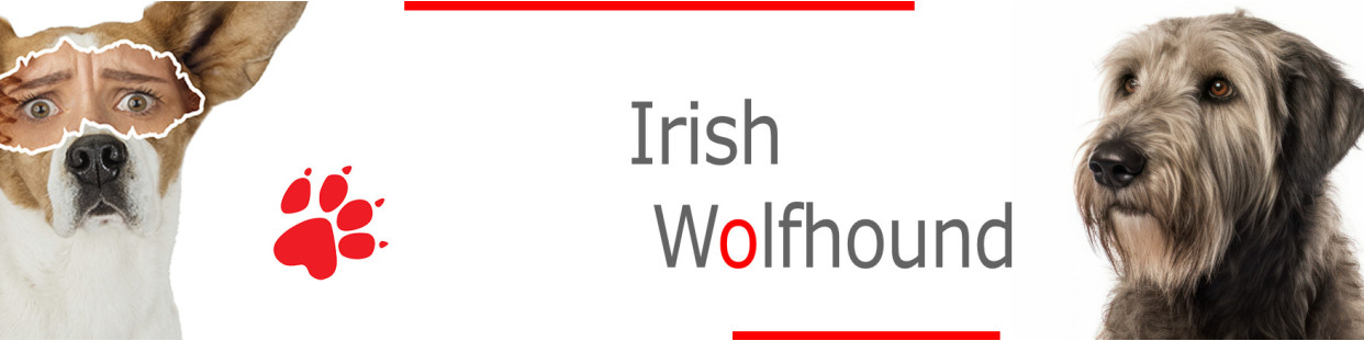 Irish Wolfhound