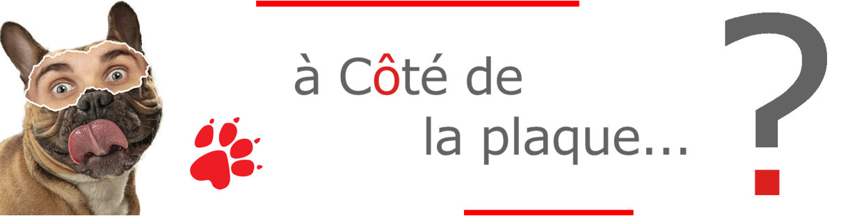 À côté de la plaque – Pancartes décalées et originales