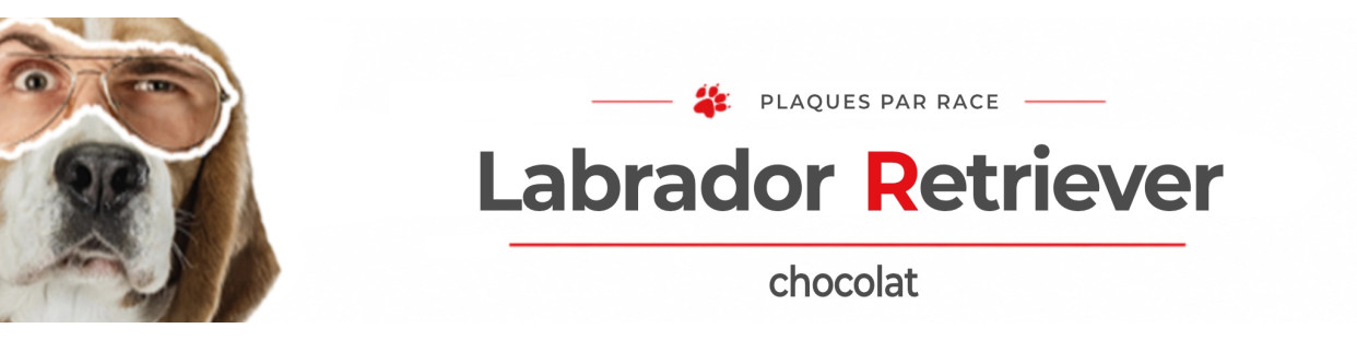 Labrador chocolat – Plaques, stickers et porte-clés