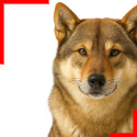 Shikoku